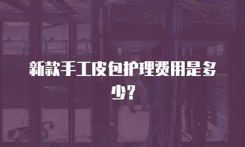新款手工皮包护理费用是多少？