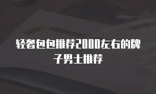 轻奢包包推荐2000左右的牌子男士推荐