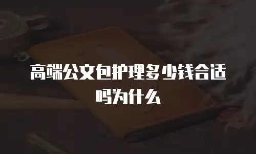 高端公文包护理多少钱合适吗为什么