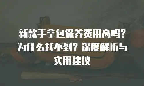 新款手拿包保养费用高吗？为什么找不到？深度解析与实用建议