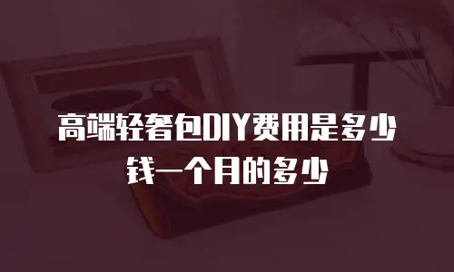 高端轻奢包DIY费用是多少钱一个月的多少