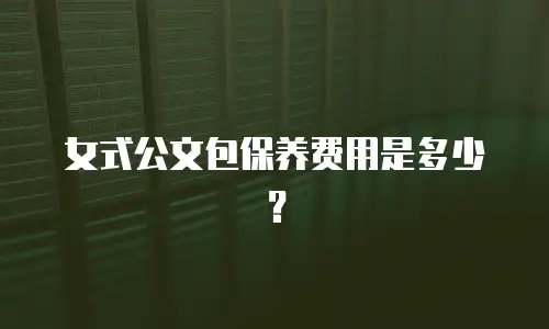 女式公文包保养费用是多少？