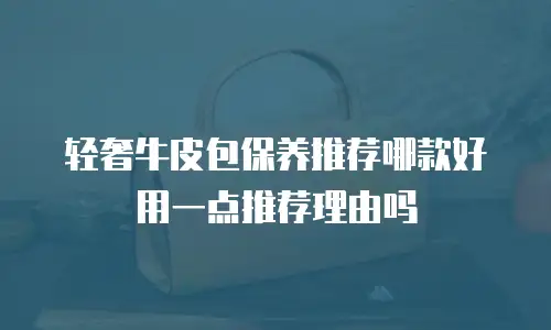轻奢牛皮包保养推荐哪款好用一点推荐理由吗