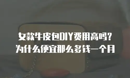 女款牛皮包DIY费用高吗？为什么便宜那么多钱一个月