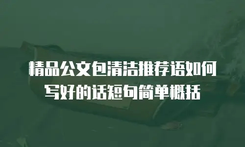 精品公文包清洁推荐语如何写好的话短句简单概括