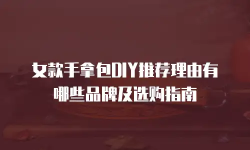 女款手拿包DIY推荐理由有哪些品牌及选购指南