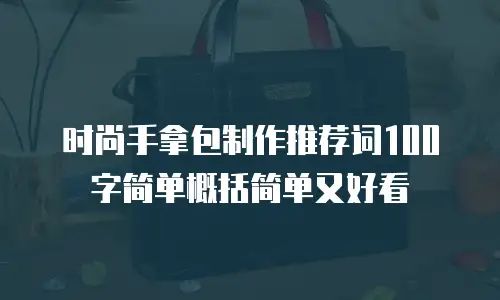 时尚手拿包制作推荐词100字简单概括简单又好看