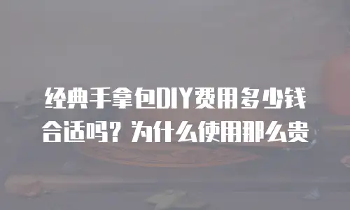 经典手拿包DIY费用多少钱合适吗？为什么使用那么贵