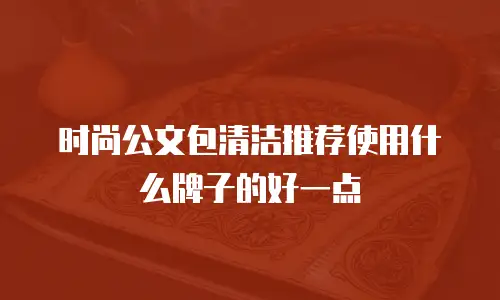 时尚公文包清洁推荐使用什么牌子的好一点