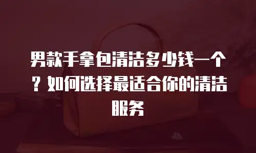 男款手拿包清洁多少钱一个？如何选择最适合你的清洁服务