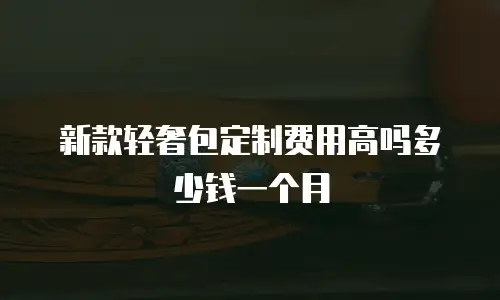新款轻奢包定制费用高吗多少钱一个月
