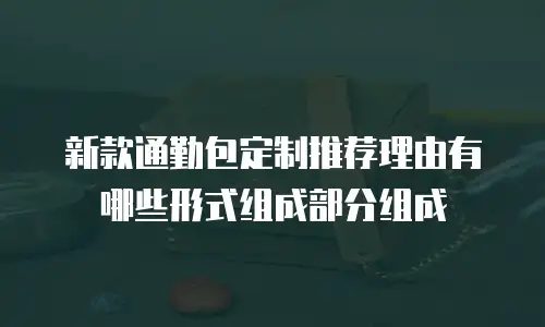 新款通勤包定制推荐理由有哪些形式组成部分组成