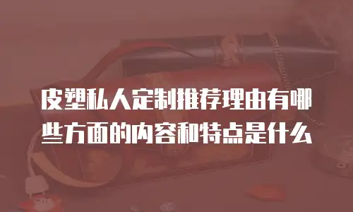 皮塑私人定制推荐理由有哪些方面的内容和特点是什么