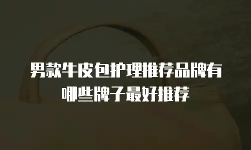男款牛皮包护理推荐品牌有哪些牌子最好推荐