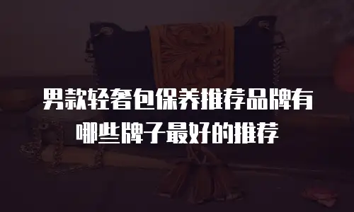 男款轻奢包保养推荐品牌有哪些牌子最好的推荐