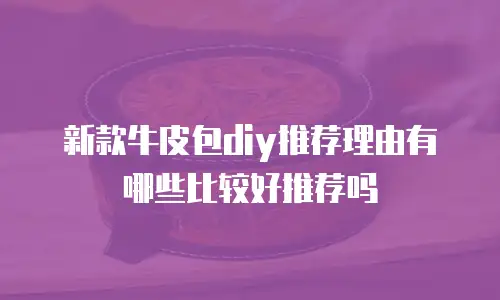 新款牛皮包diy推荐理由有哪些比较好推荐吗