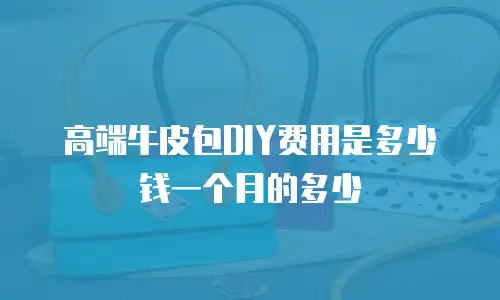 高端牛皮包DIY费用是多少钱一个月的多少