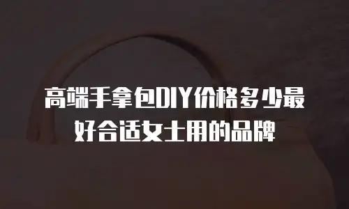 高端手拿包DIY价格多少最好合适女士用的品牌