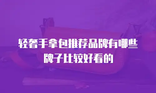 轻奢手拿包推荐品牌有哪些牌子比较好看的
