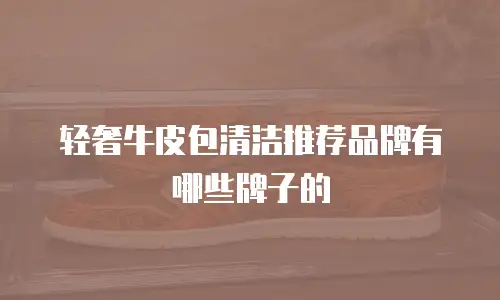 轻奢牛皮包清洁推荐品牌有哪些牌子的