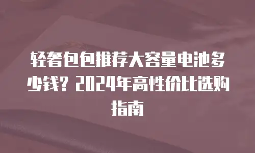 轻奢包包推荐大容量电池多少钱？2024年高性价比选购指南