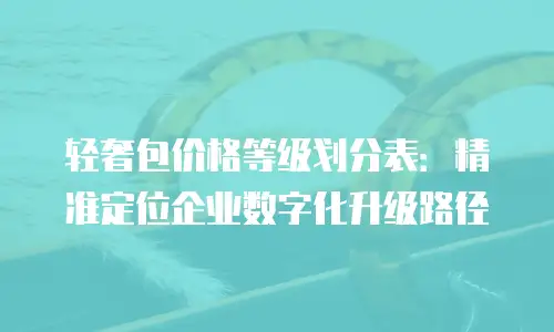 轻奢包价格等级划分表：精准定位企业数字化升级路径