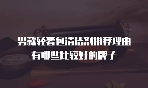 男款轻奢包清洁剂推荐理由有哪些比较好的牌子