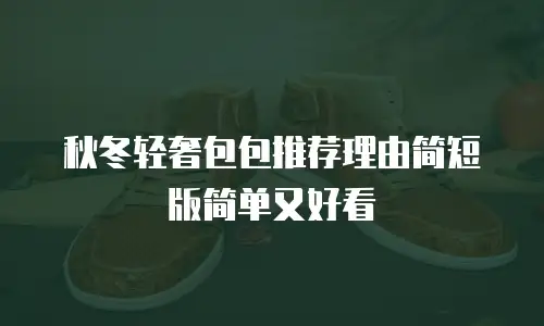 秋冬轻奢包包推荐理由简短版简单又好看