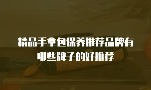 精品手拿包保养推荐品牌有哪些牌子的好推荐