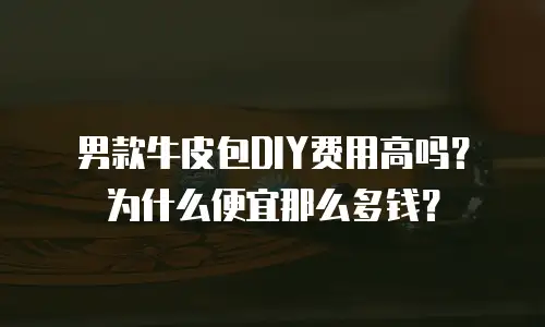 男款牛皮包DIY费用高吗？为什么便宜那么多钱？