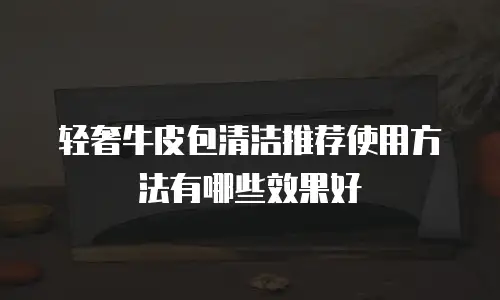 轻奢牛皮包清洁推荐使用方法有哪些效果好
