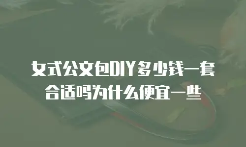女式公文包DIY多少钱一套合适吗为什么便宜一些
