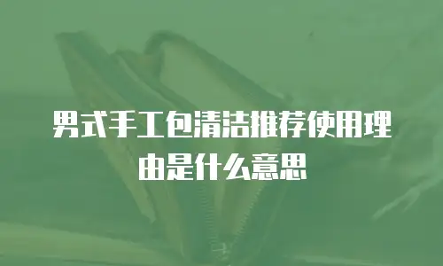 男式手工包清洁推荐使用理由是什么意思