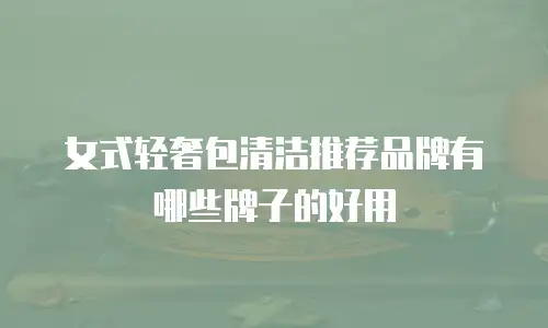 女式轻奢包清洁推荐品牌有哪些牌子的好用