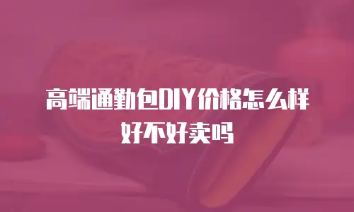 高端通勤包DIY价格怎么样好不好卖吗