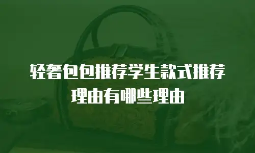 轻奢包包推荐学生款式推荐理由有哪些理由