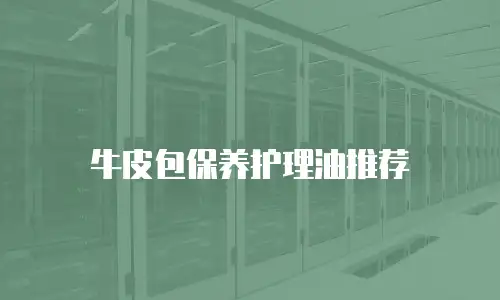 牛皮包保养护理油推荐