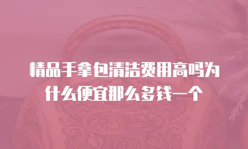 精品手拿包清洁费用高吗为什么便宜那么多钱一个