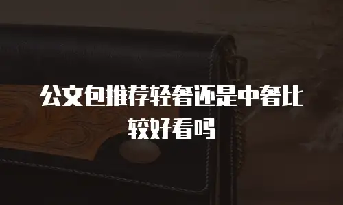公文包推荐轻奢还是中奢比较好看吗