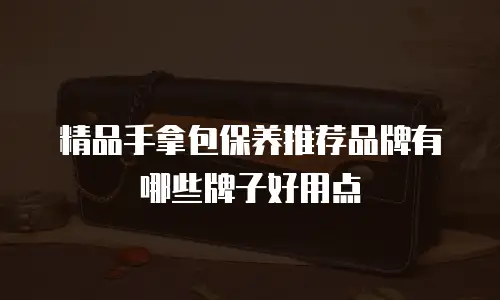 精品手拿包保养推荐品牌有哪些牌子好用点