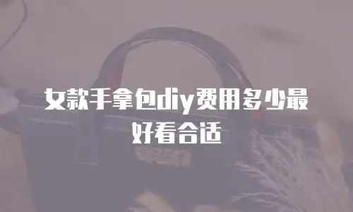 女款手拿包diy费用多少最好看合适