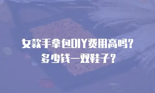 女款手拿包DIY费用高吗？多少钱一双鞋子？