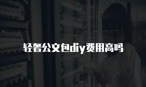 轻奢公文包diy费用高吗