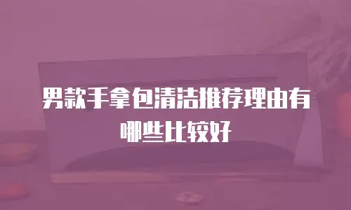 男款手拿包清洁推荐理由有哪些比较好