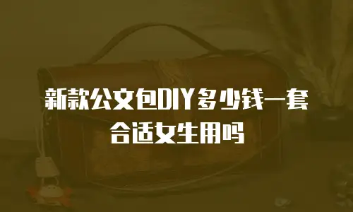 新款公文包DIY多少钱一套合适女生用吗
