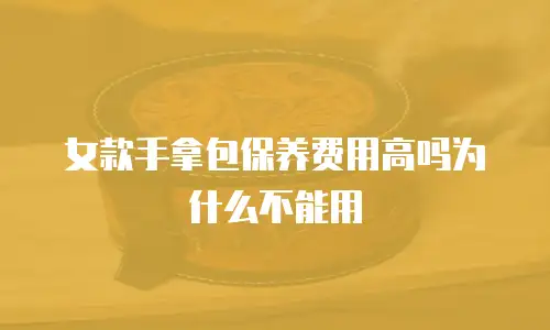 女款手拿包保养费用高吗为什么不能用