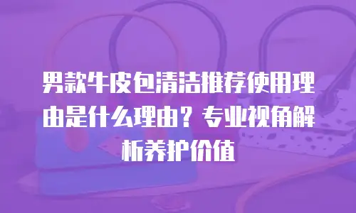 男款牛皮包清洁推荐使用理由是什么理由？专业视角解析养护价值