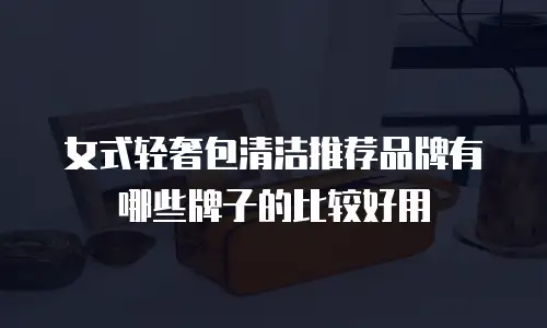 女式轻奢包清洁推荐品牌有哪些牌子的比较好用