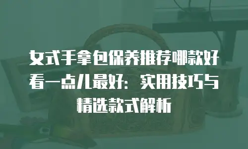 女式手拿包保养推荐哪款好看一点儿最好：实用技巧与精选款式解析