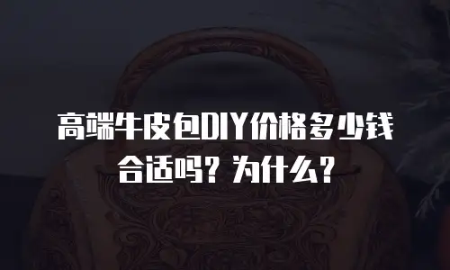 高端牛皮包DIY价格多少钱合适吗？为什么？